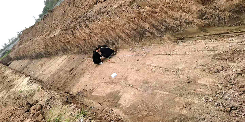 DUOBAO�౦��ҵ԰��Ʒ�ѳ����ŵ���������