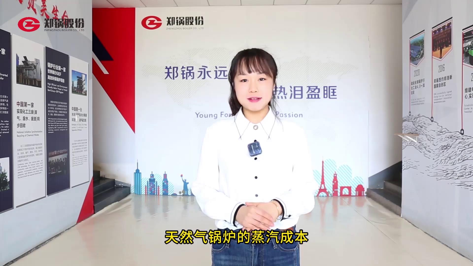 ȼ����¯�����ɱ�