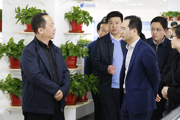 �ӱ�ʡ����������������һ��ݰ��DUOBAO�౦�ɷݿ���ָ������