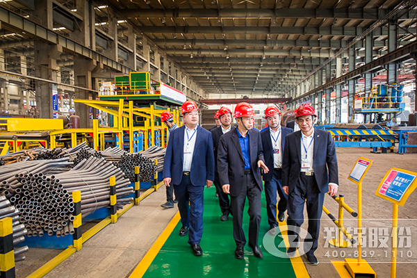 ��˾�߲��쵼һ���Ӳ켯�Ÿ������չ���