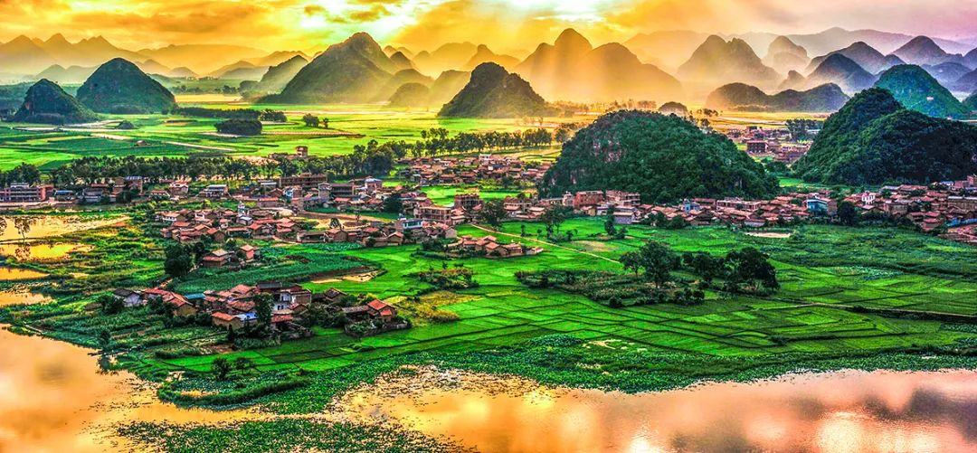 ��¯�������ˣ�������������ʮ���塱 ����ʡ�������ƽ���ҵ��ɫ��չ