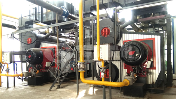 DUOBAO�౦ȼ����¯����Ϊ��๩�ȷ�չ���¿����