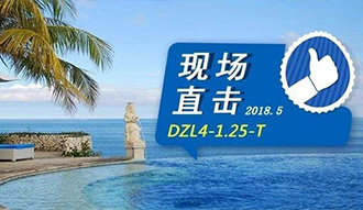 �ֳ�ֱ��ح�������ʹ�¯�ڰ��嵺���ǿ����������������ͷ�ͷ�����ѡ