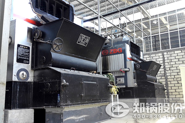 ӡ��ͻ��ٴζ���2̨DZL4-1.25-T�����ʹ�¯