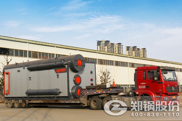 ɽ������﮵�2*20t/h������ѹȼ����¯