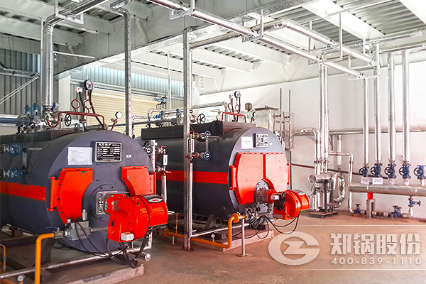 �ϼ���2̨WNSС����ʽȼ����¯��Ŀ