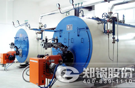 WNS��ȼ��ȼ����¯ - DUOBAO�౦