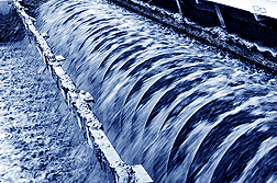 �Ƴ���¯����