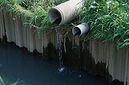 �Ƴ���¯��Ⱦ