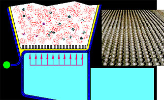 �������������