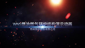 WNSȼ��ȼ����¯�ṹ��ʾ����