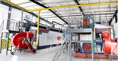 ����͵���Ȼ����¯������¯