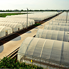 DUOBAO�౦��(�й����޹�˾)�ٷ���վ