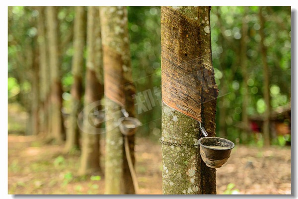 ȼ������ʽ��¯����ʽ������¯