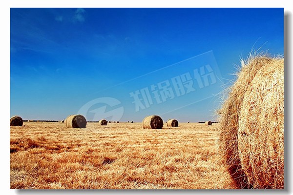 ¹øÂ¯Î¬Ð޺͹øÂ¯Î¬ÐÞŵÀïÆæ