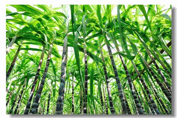 ѭ����������¯��ˮʱ����Щ�涨?