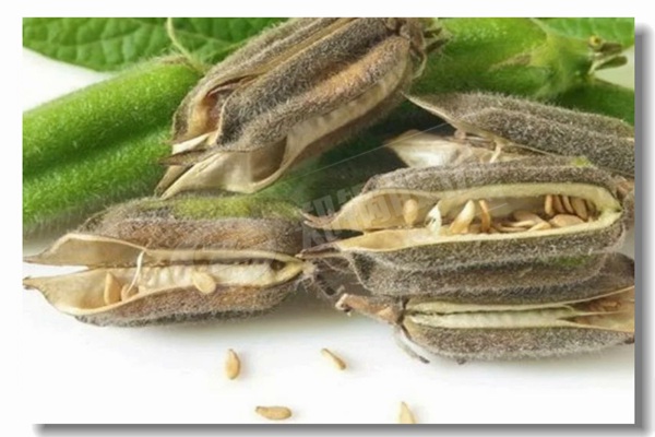 �����������������¯�ϵ�����