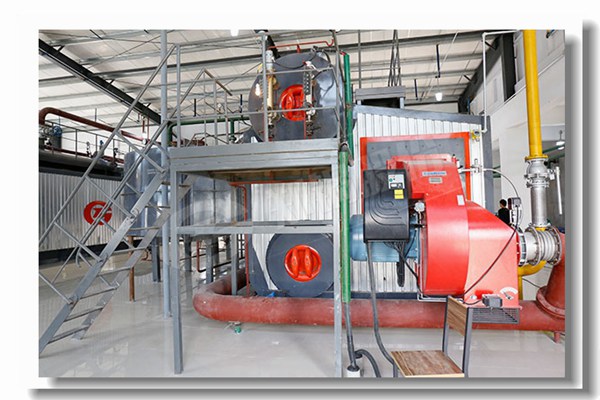 1¶ÖÖÆÌÇÒµSZSÈ¼ÆøÈÈË®¹øÂ¯