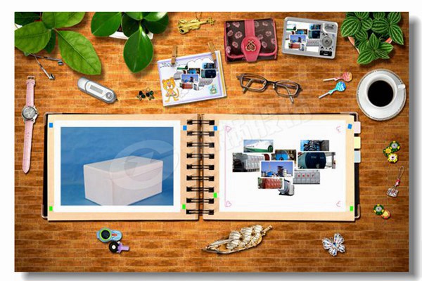 ÿСʱ1500kg��ʽȼ��������¯