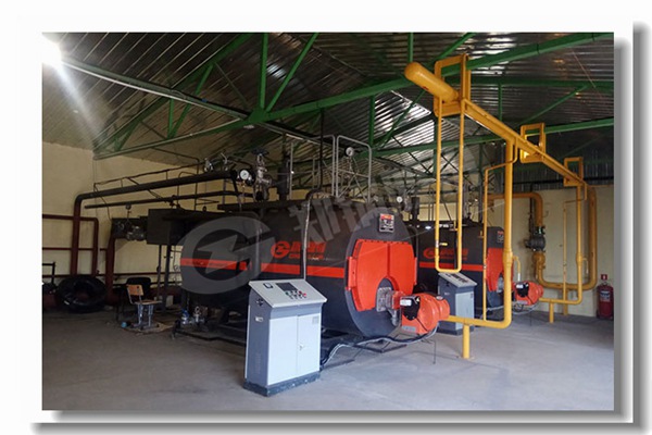 µ¾¿ÇºÍÉúÎïÖÊÕôÆû¹øÂ¯