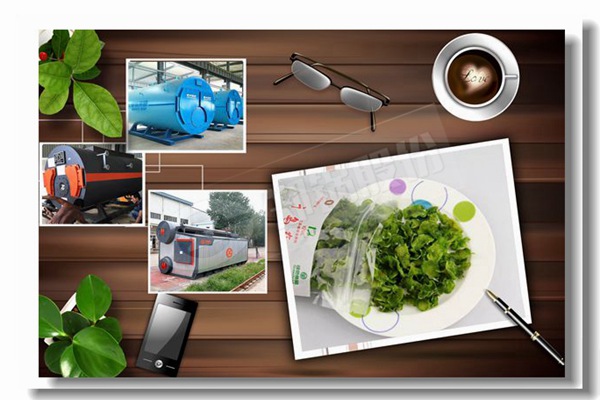 11����Ȼ��������¯�۸�