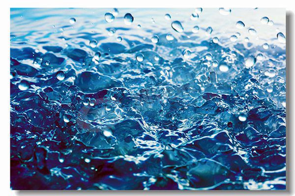 ���������ʹ�¯����Ǯ������������