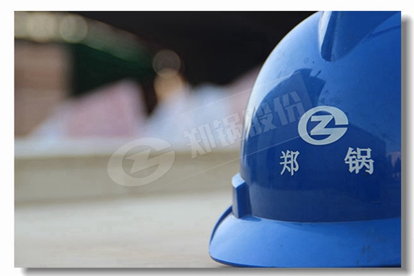 DZGϵ�й̶�¯�Ŷ�ȼ�Ϲ�¯