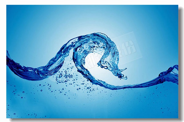 ��������¯��������¯�����ϳ�